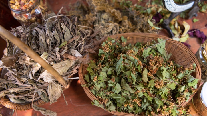 Dieta de plantas maestras