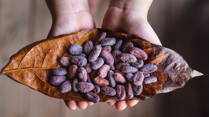 Ceremonia de cacao