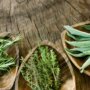 Conoce las plantas que limpian tu energía y cómo usarlas en rituales